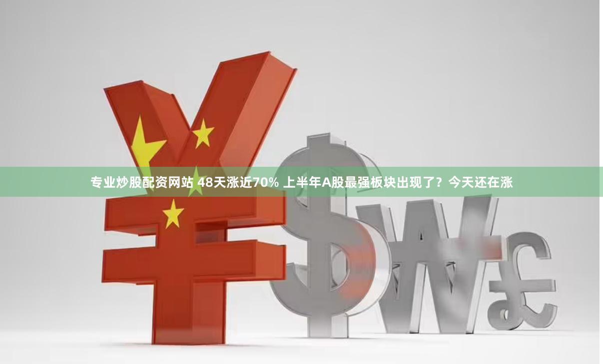 专业炒股配资网站 48天涨近70% 上半年A股最强板块出现了？今天还在涨