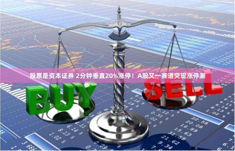 股票是资本证券 2分钟垂直20%涨停！A股又一赛道突现涨停潮
