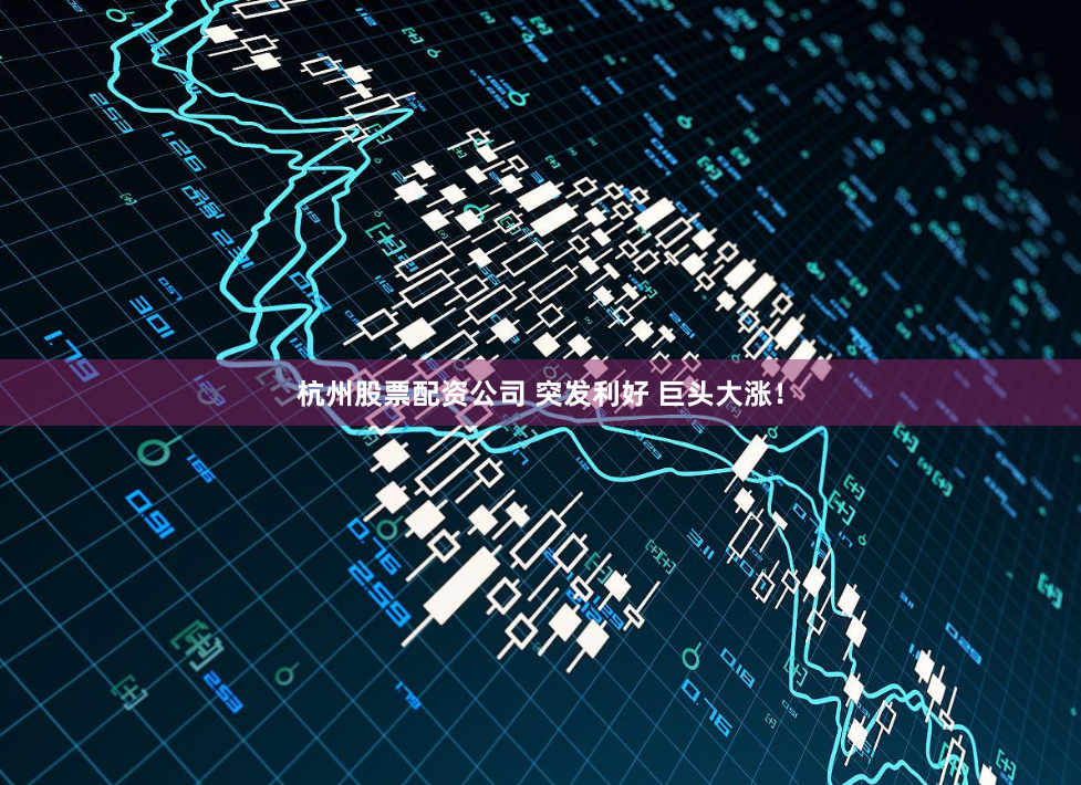 杭州股票配资公司 突发利好 巨头大涨！